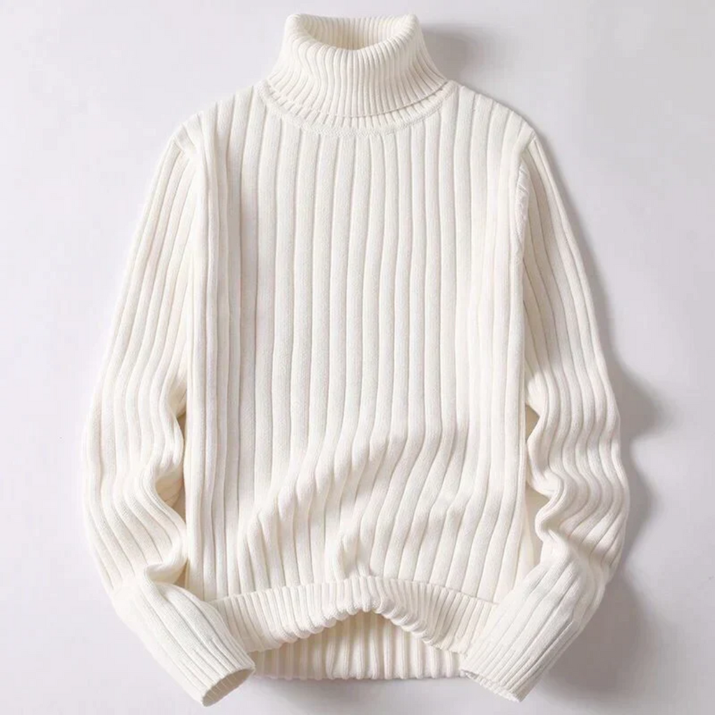 Pull à col roulé moderne Travis