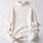 Pull à col roulé moderne Travis