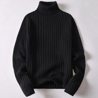 Pull à col roulé moderne Travis