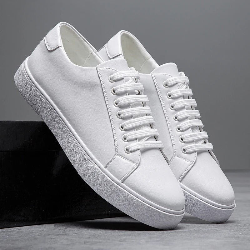Low-tops en cuir de Westbridge